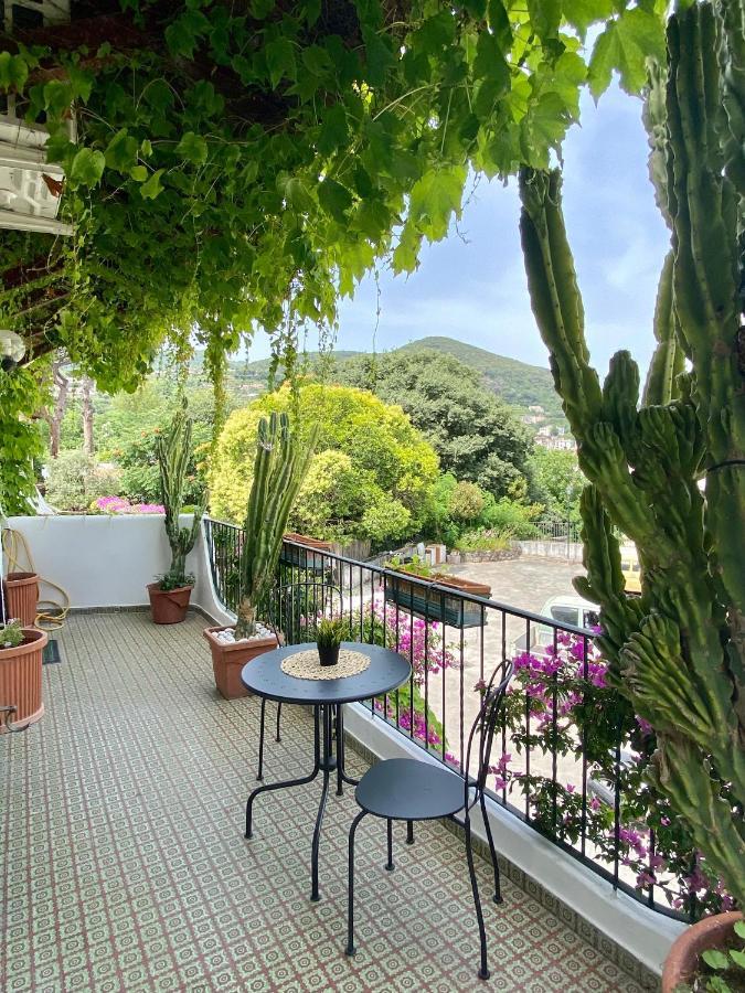 Bed and Breakfast Casa Malo' Ischia Exterior foto